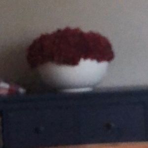 Meet your Posher, Cesar